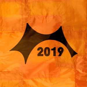 Roskilde 2019