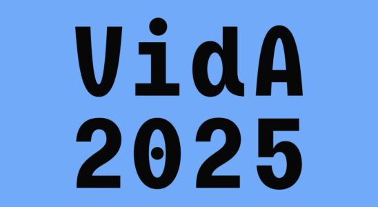 Vida Festival 2025